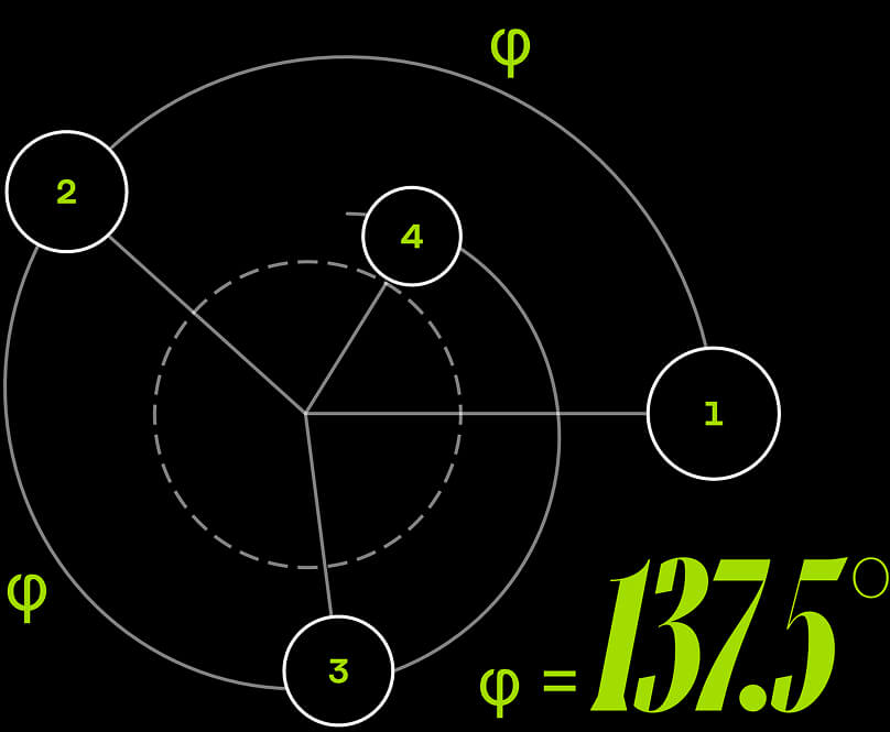 Golden angle diagram — 137.5°